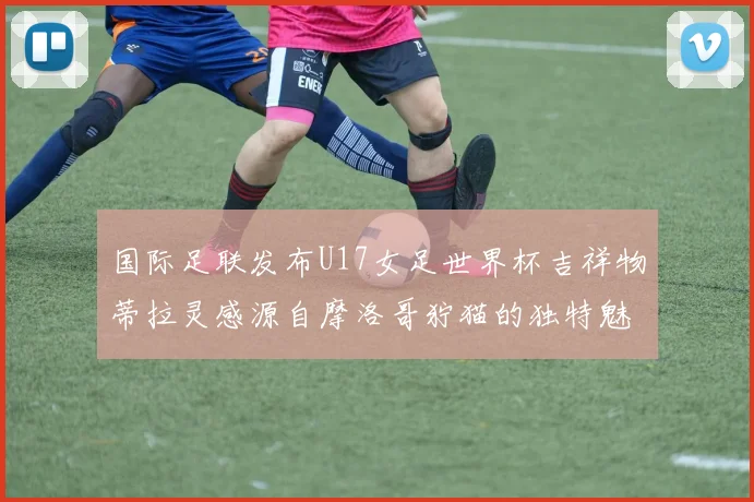 国际足联发布U17女足世界杯吉祥物蒂拉灵感源自摩洛哥狞猫的独特魅力
