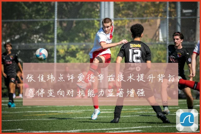 张佳玮点评爱德华兹技术提升背打急停变向对抗能力显著增强