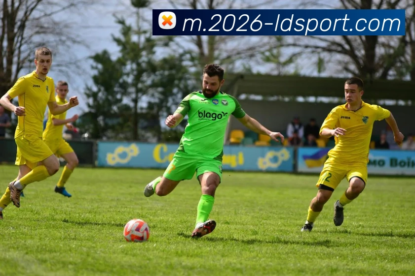 乐动体育APP 封面图