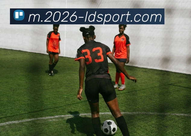 数据防护可视化